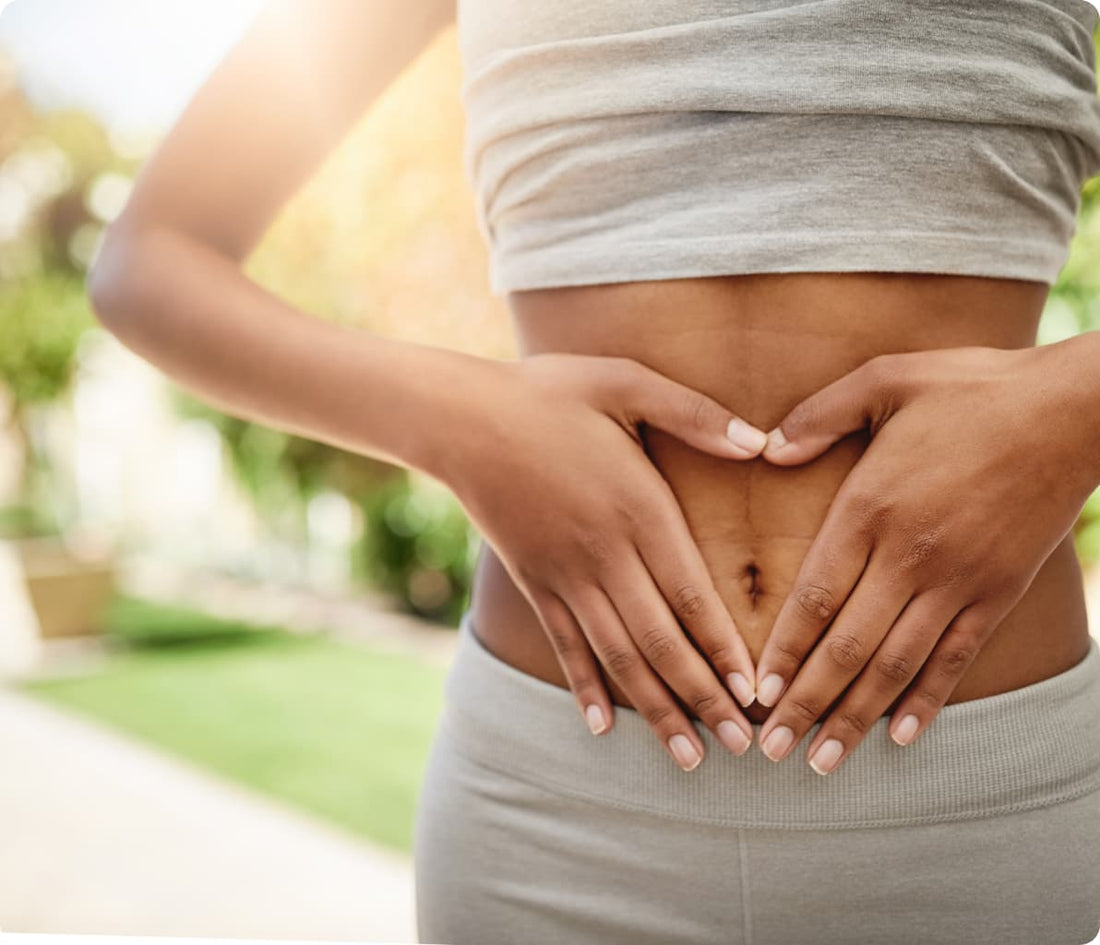 Probiotics, Prebiotics, and Synbiotics: A Comprehensive Guide to Gut Health